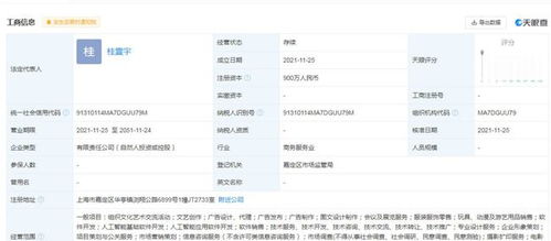 杨超越的跨界逆袭 从厂花到CEO，再到AI探索者的蜕变之路